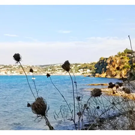 Frühstückspension D'anna Castellammare del Golfo