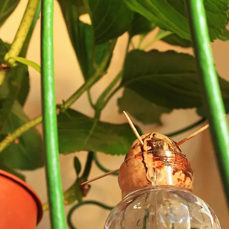 D'anna 4* Castellammare del Golfo